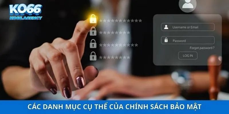 Các danh mục cụ thể của chính sách bảo mật