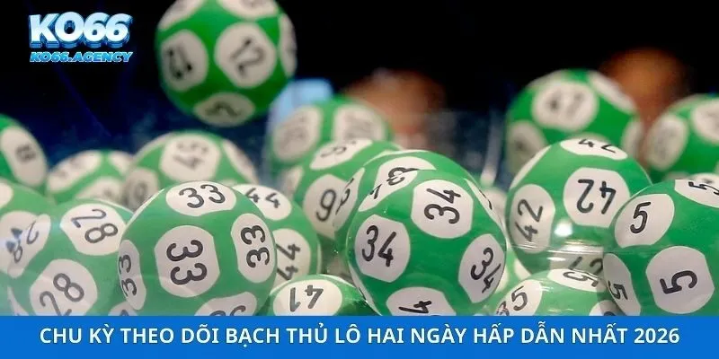 Chu kỳ theo dõi bạch thủ lô hai ngày hấp dẫn nhất 2026