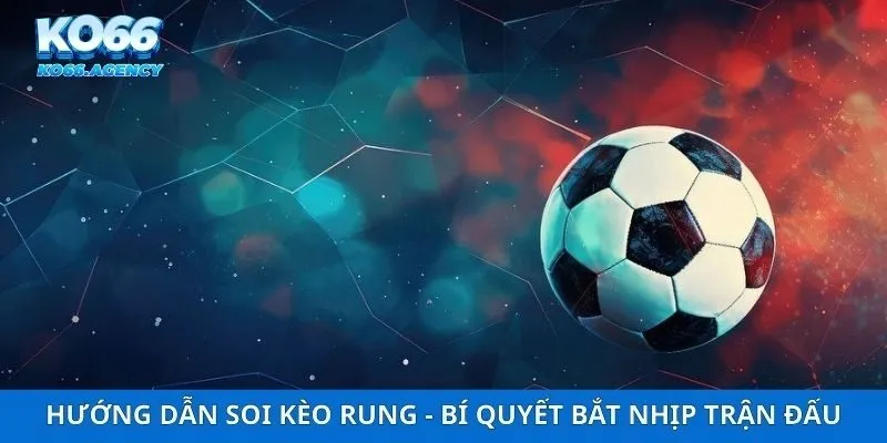 Hướng Dẫn Soi Kèo Rung - Bí Quyết Bắt Nhịp Trận Đấu