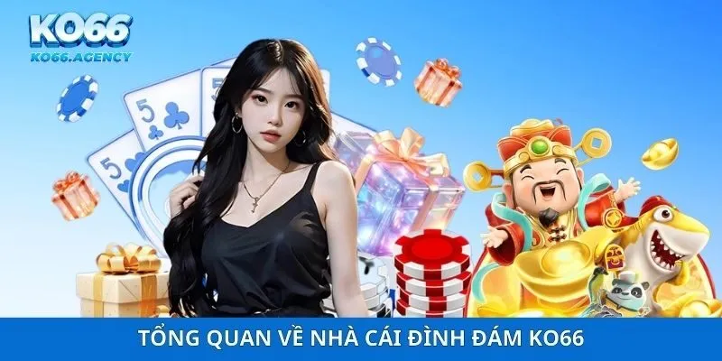 Tổng quan về nhà cái đình đám Ko66