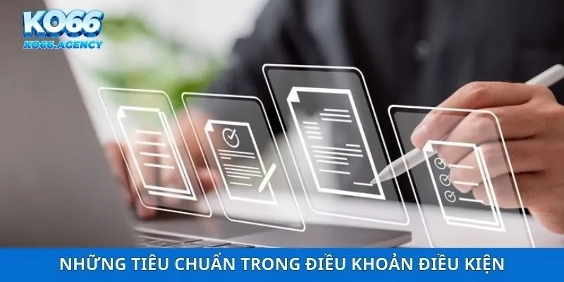 Những tiêu chuẩn trong điều khoản điều kiện