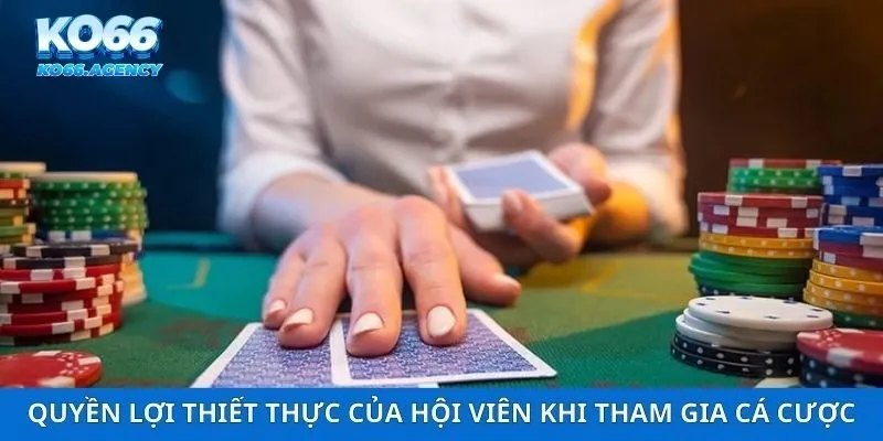 Quyền lợi thiết thực của hội viên khi tham gia cá cược