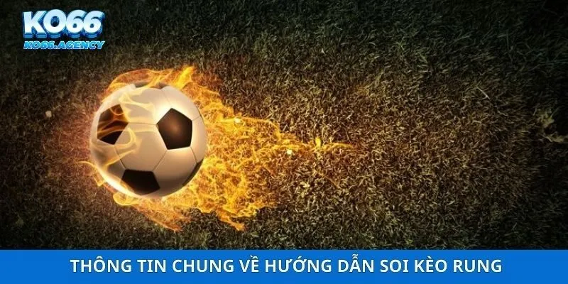 Thông tin chung về hướng dẫn soi kèo rung